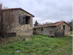 grange à la vente -   86400  SAVIGNE, surface 40 m2 vente grange - UBI483374561